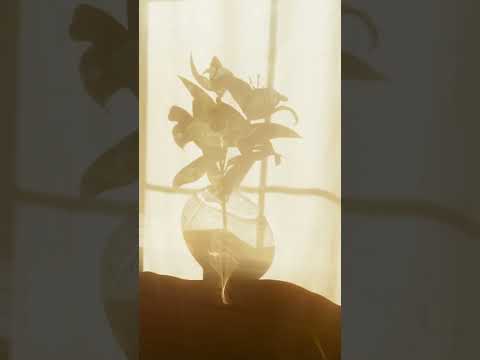 Surah Al Qiyamah Verse 13 19 Heart Touching Quran Recitation Imitation Of Rashid Al Afasy 