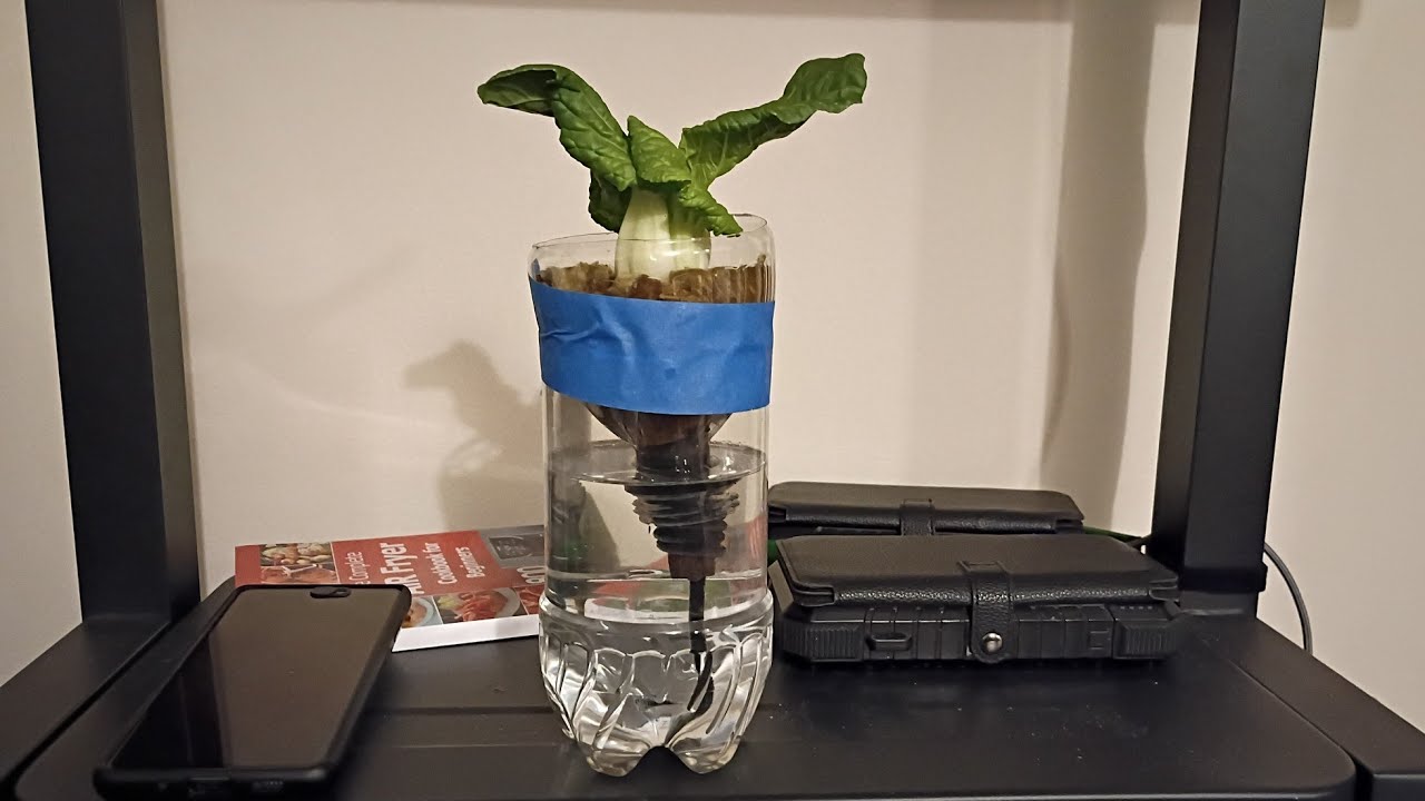 Эксперимент с пак-чой — для людей с ограниченными возможностями и в процессе подготовки