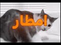 ست امطار 