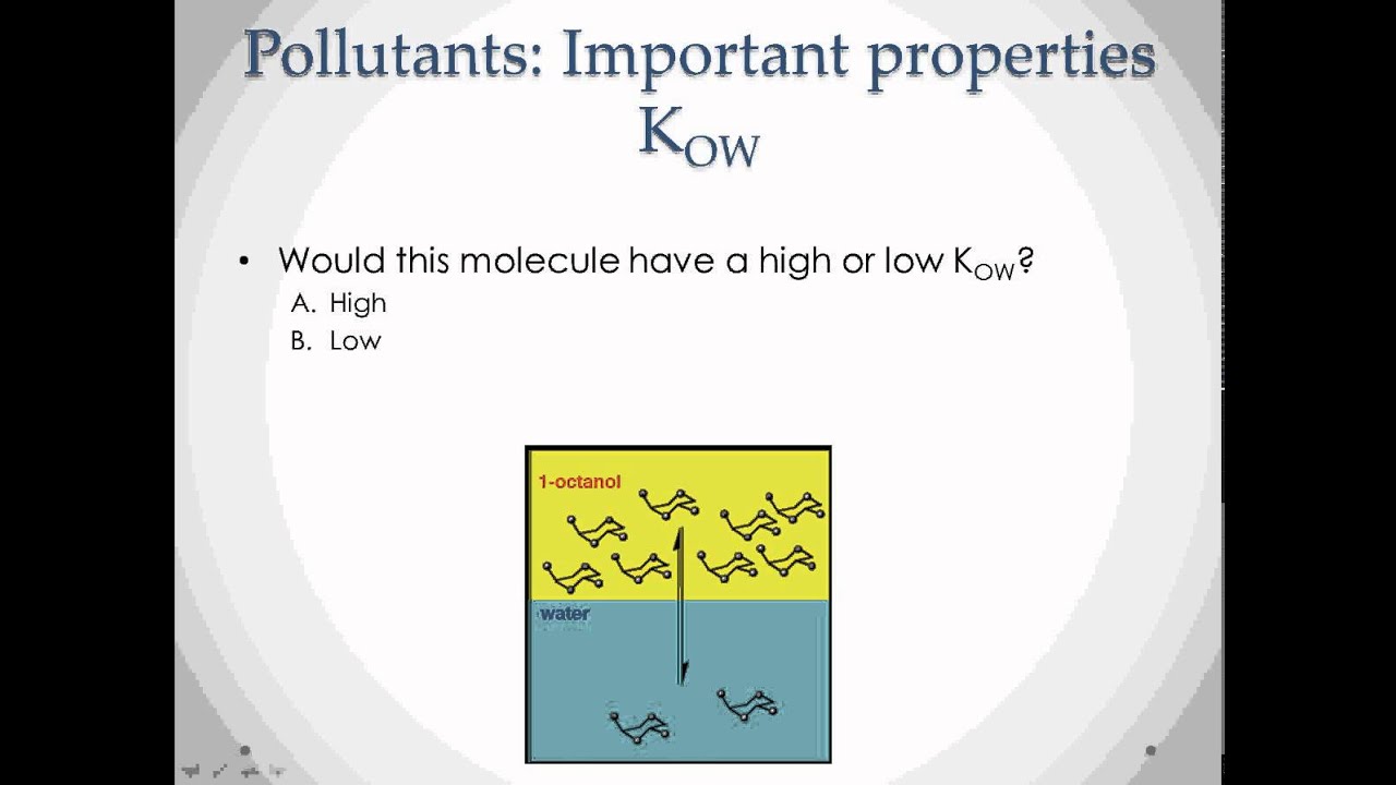 Concept Review Kow YouTube concept-review-kow-youtube