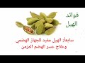 فوائد الهيل المذهلة 10أمراض يمكن علاجها من خلال فوائد الهيل 