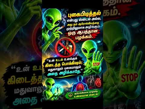 #music #remix #arrahman #trisha #trending #tamil #vijay #ajith #suntv #vijaytv #tvk #biggboss