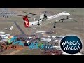 Majestic Software DH8D Q400 heads to Wagga on Vatsim