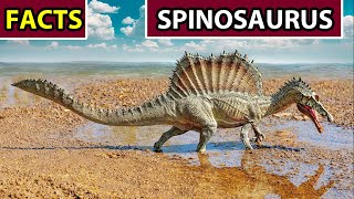 SPINOSAURUS: True Shape| Scavenger| Extinction - Creature Facts #16