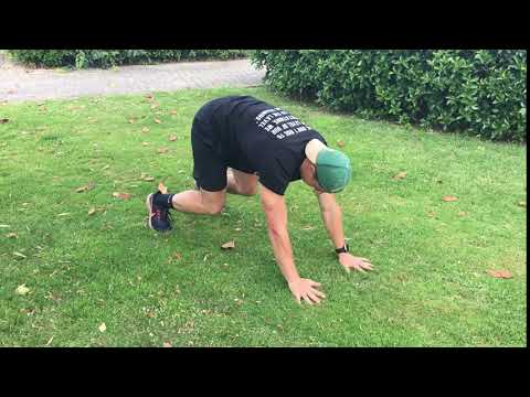 Bear Hop Backwards - Upside Strength Exercise Library