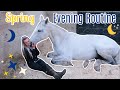 My 6 Horses' Evening Routine | Spring 2020 | Lock Down Day 15 | Lilpetchannel