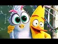 ANGRY BIRDS MOVIE 2 Chuck S Sister Clip 