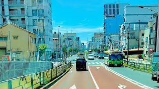 TOP 10 Things to do Tokyo japan travel v log 4K HDR #shortvideo #asiantravel #lovetokyo