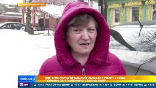 Жителю нижегородской области грозит тюрьма за старое спиленное дерево