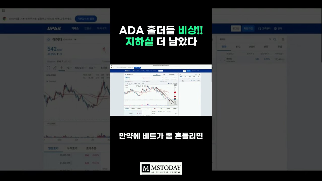 머니쇼츠-영상] 에이다 홀더들 비상 지하실 더 남았다 - MS TODAY