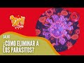 Cómo combatir los parásitos