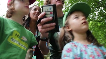 Blispa Festival and Events App