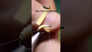 Download Lagu Gummi Grub Maggot Larva fly pattern #flytying  #flyfishing MP3