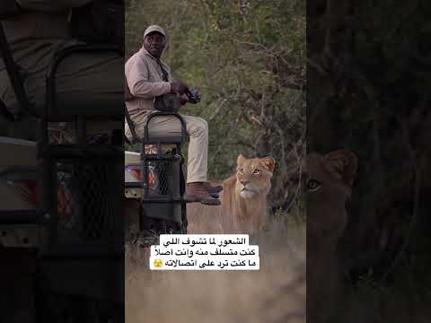 الشعور لما تشوف اللي كنت متسلف منه وانت أصلا ما كنت ترد على اتصالاته 