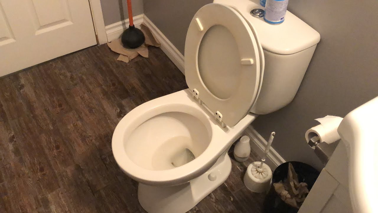 [1118] Brandless dual flush toilet in Canada YouTube