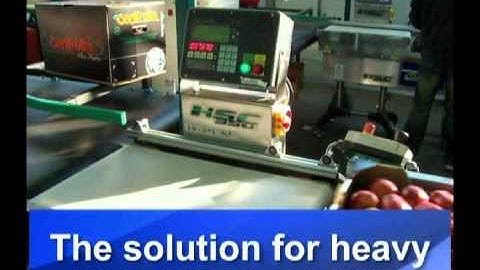 Checkweigher HSC350 serie H