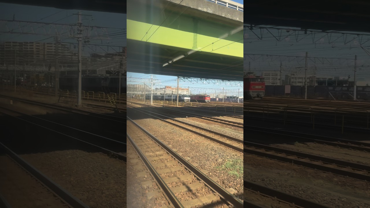 大量のEF64が留置中されている愛知機関区 #shorts