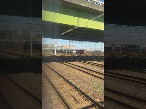 大量のEF64が留置中されている愛知機関区 #shorts