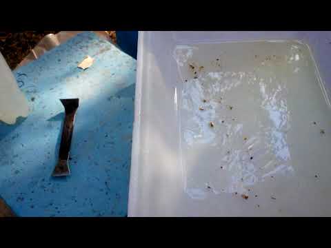 ვიდეო-17. ვაროსტოპის ფირფიტებმა აჯობა.  VAROSTOPIS FIRFITEBMA AJOBA