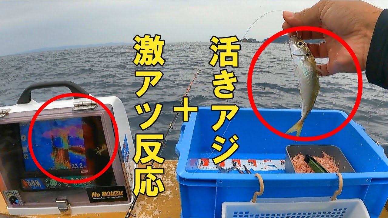【落とし込み】魚探が真っ赤に⁉ 激アツ反応に活きアジを投入すると…