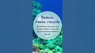 How to Save Our Ocean #shorts #ocean #oceancleanup #plasticpollution #saveocean