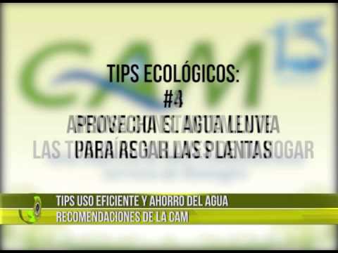 Tips uso eficiente y ahorro del agua - YouTube