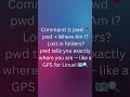 “Top 5 Linux Commands Every Beginner Must Know 🐧⚡”