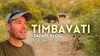 You won't believe what we saw at Kings Camp in the Timbavati! | Safari Vlog