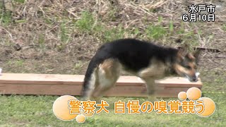 メインサムネイル