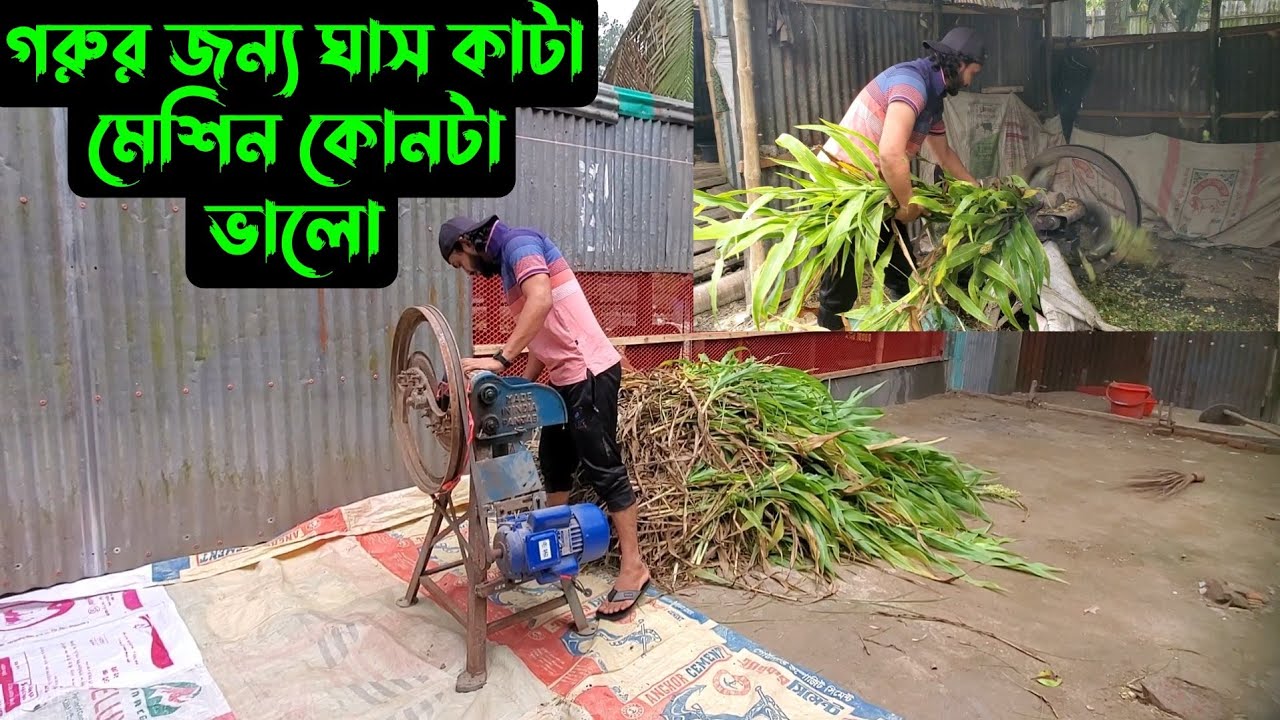 দুই ধরনের মেশিন দিয়ে,,,ঘাস কাটার নতুন অভিজ্ঞতা হলো,,,🐄