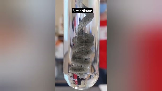 Semiz qizlar porno tomosha