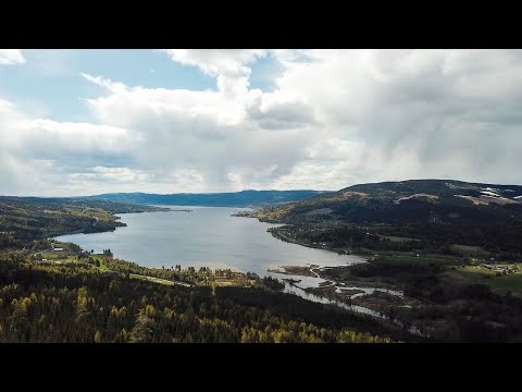 Video: Hva er økofeminisme i litteraturen?