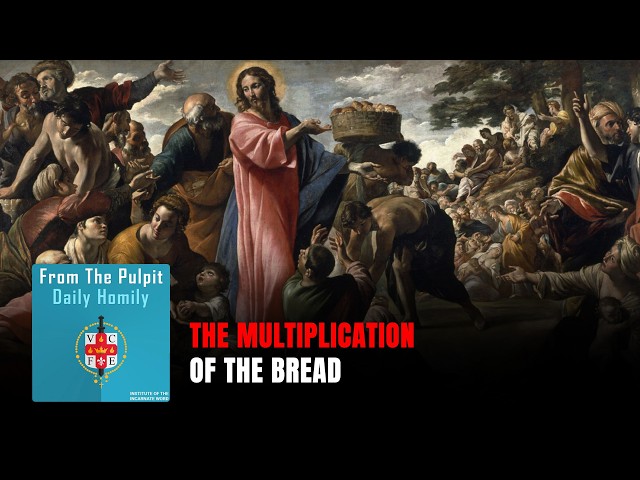 Home 2 Daily IVE Homilies, August 2nd, 2026 - The Multiplication of The Bread
