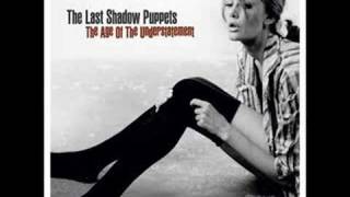 The Last Shadow Puppets - calm like you