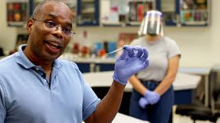 Microevolution & Population Genetics