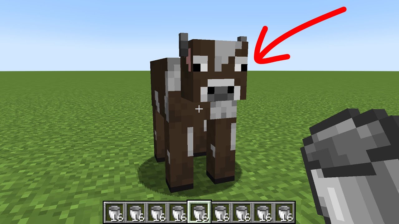 How Much Milk Can You Get From A Cow YouTube how-much-milk-can-you-get-from-a-cow-youtube