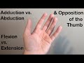 Abduction vs adduction flexion vs extension and opposition of the thumb