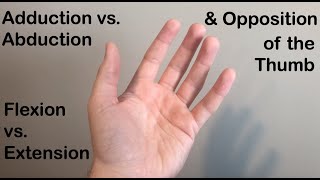 thumb opposition