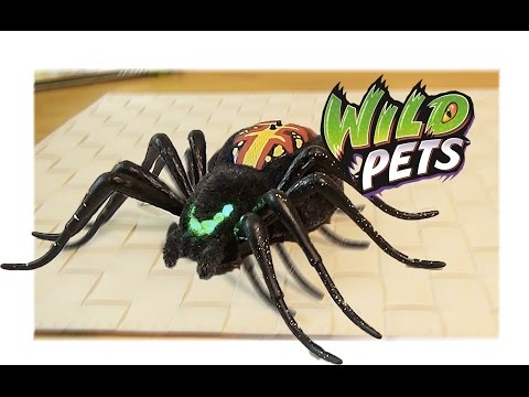 Электронный Паук "Интеллектуал" - Wild Pets Spider - Игрушка Паук