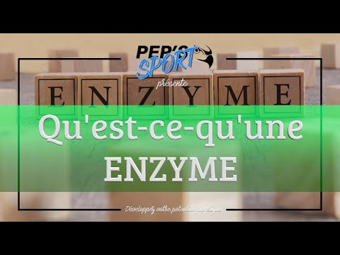 Vidéo: Les enzymes peuvent-elles être réutilisées et pourquoi ?