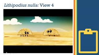 Distance Learning Gr. 7: Lesson 3