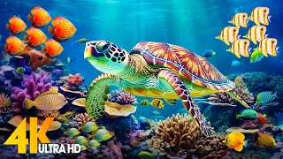 Under Red Sea 4K - Beautiful Coral Reef Fish in Aquarium, Sea Animals for Relaxation - 4K Video #109