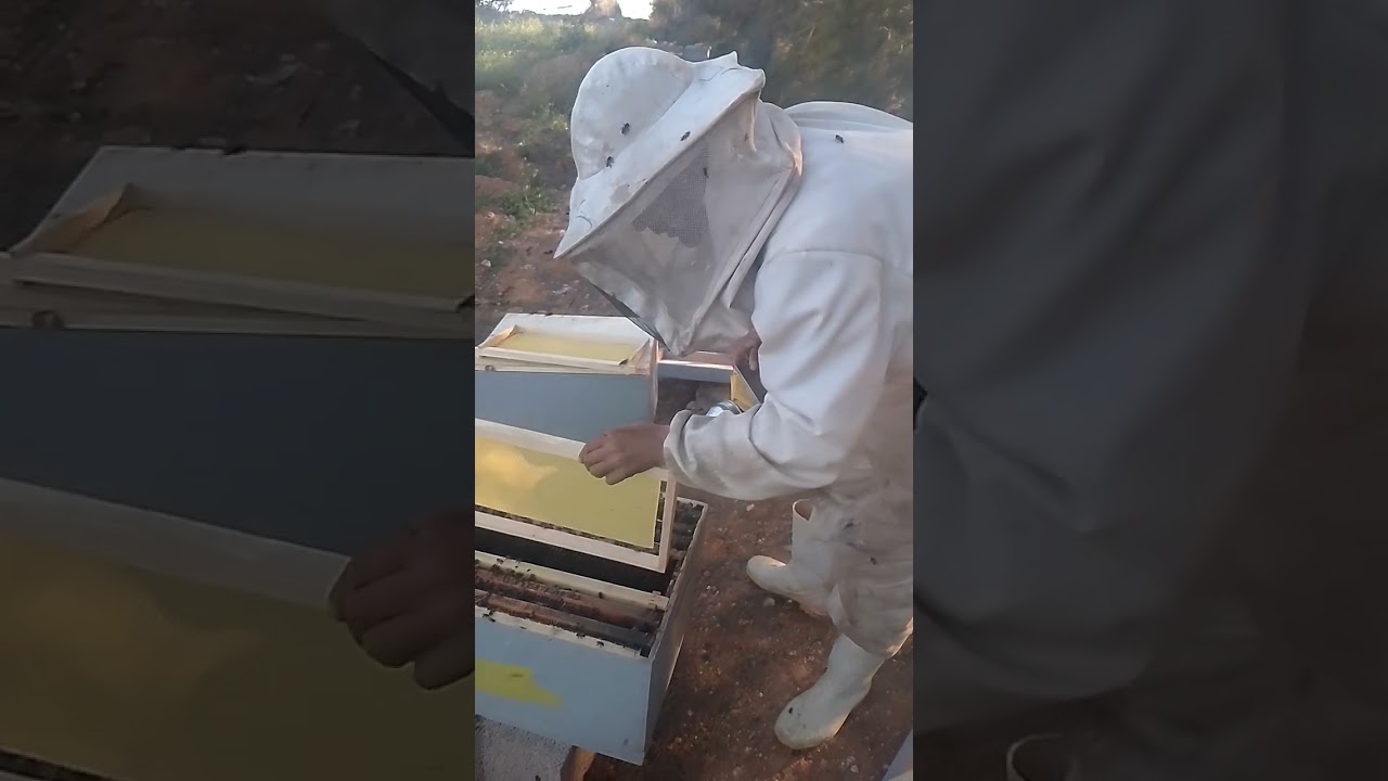 تغذية وتطوير الخلايا