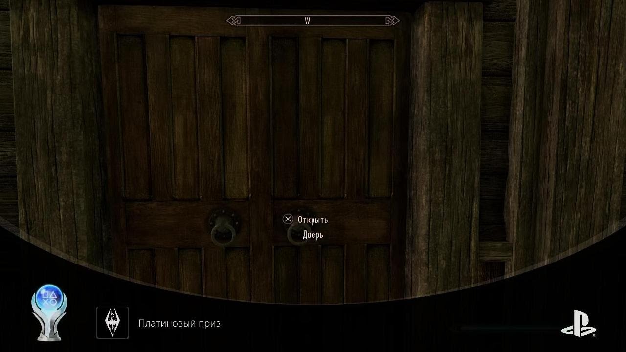 Skyrim платина