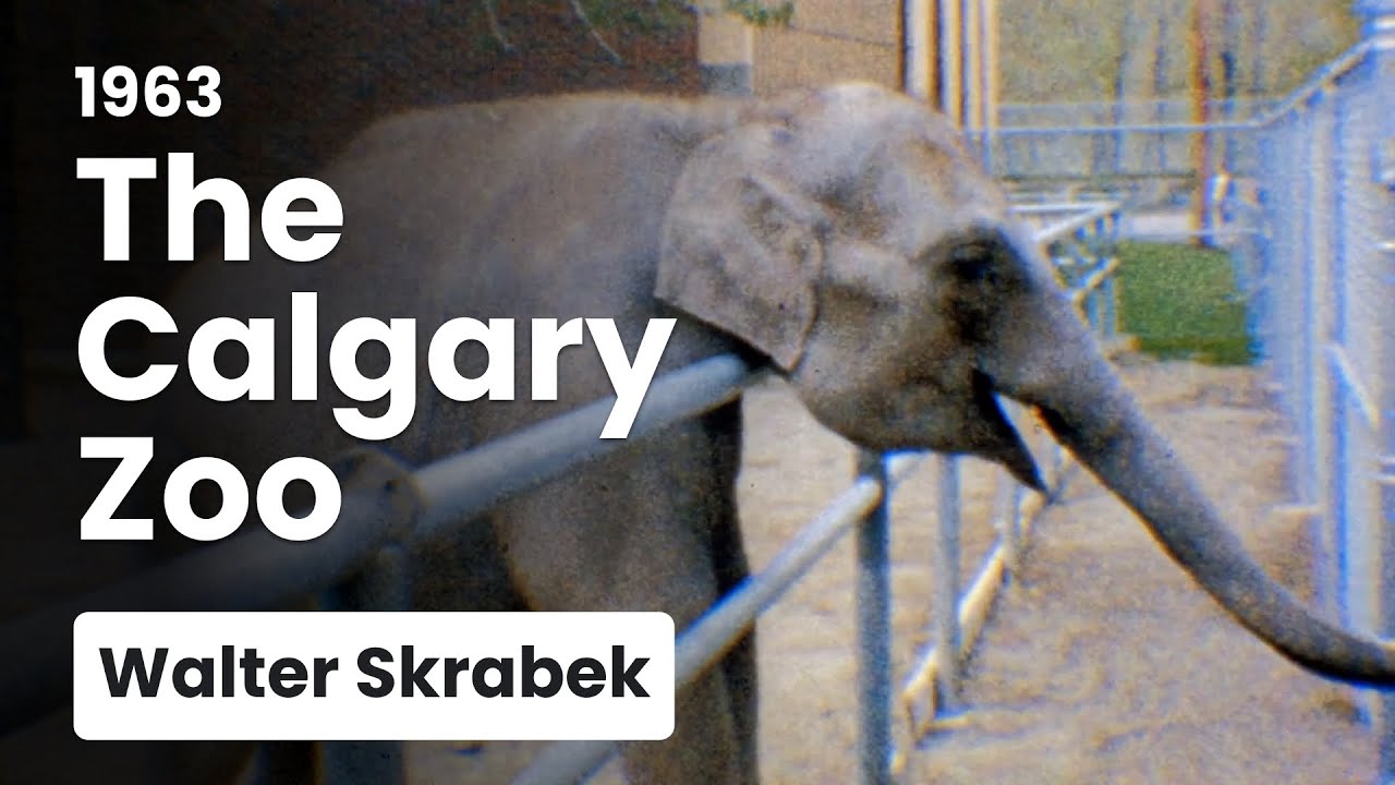Walter Skrabek's 1960s Calgary Zoo Tour