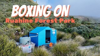 Boxing On Ruahine Forest Park