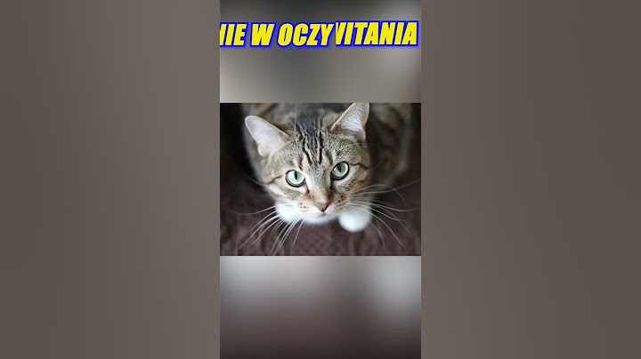 8 OZNAK ŻE TWÓJ KOT CIE NIE LUBI #ciekawostki #koty #zwierzęta