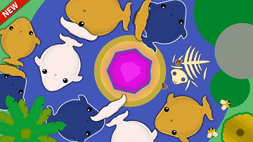 NEW CUSTOM WHALE BATTLE ROYALE EVENT in MOPE.IO Ft. SK