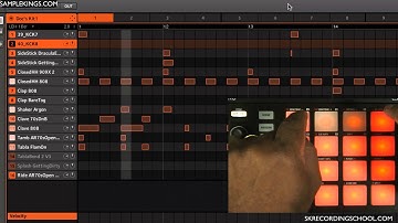 Maschine Mikro DVDs Lesson: Pin the Button Down samplekings.com