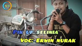 LAGU TEBE LUFUT PIK UP SELINIA TERBARU 2024|| VOC:ERWIN NURAK🔥🔥